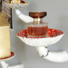 Load image into Gallery viewer, Magic Mushroom Floating Shelves