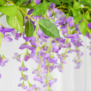 Darling Wisteria Hanging Flowers