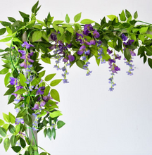 Load image into Gallery viewer, Darling Wisteria Hanging Flowers