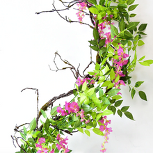 Load image into Gallery viewer, Darling Wisteria Hanging Flowers