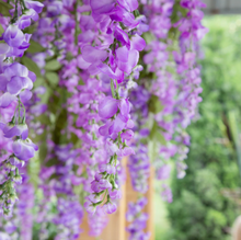 Load image into Gallery viewer, Darling Wisteria Hanging Flowers