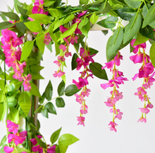 Load image into Gallery viewer, Darling Wisteria Hanging Flowers