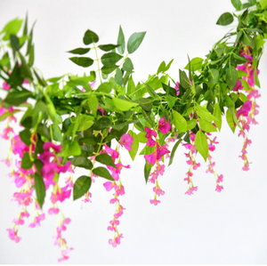 Darling Wisteria Hanging Flowers