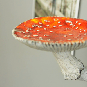 Magic Mushroom Floating Shelves