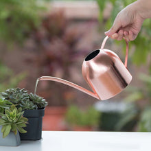 Load image into Gallery viewer, Chic Stainless Steel Watering Pots