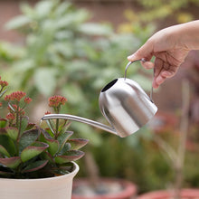 Load image into Gallery viewer, Chic Stainless Steel Watering Pots