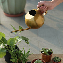 Load image into Gallery viewer, Chic Stainless Steel Watering Pots