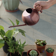 Load image into Gallery viewer, Chic Stainless Steel Watering Pots