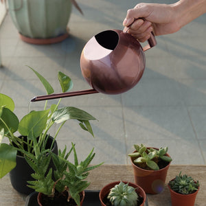 Chic Stainless Steel Watering Pots