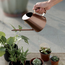 Load image into Gallery viewer, Chic Stainless Steel Watering Pots