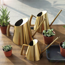 Load image into Gallery viewer, Chic Stainless Steel Watering Pots