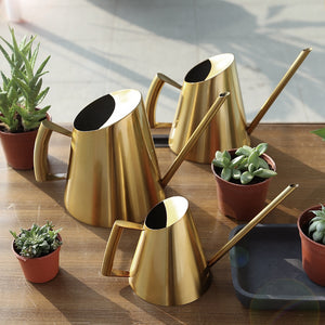 Chic Stainless Steel Watering Pots