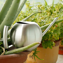 Load image into Gallery viewer, Chic Stainless Steel Watering Pots