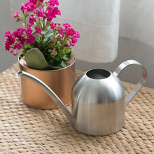 Load image into Gallery viewer, Chic Stainless Steel Watering Pots